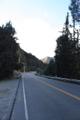 Enlarge photo 40
