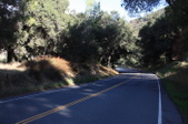 Enlarge photo 41