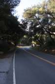 Enlarge photo 42