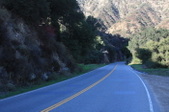 Enlarge photo 46