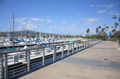 Berth 42