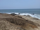 Enlarge photo 43