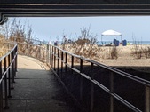 Enlarge photo 54