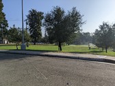 TT1