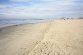 vbeach