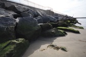 South Venice Beach