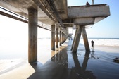 Venice Pier