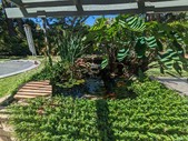 Enlarge photo 37