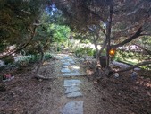 Enlarge photo 42