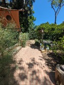 Enlarge photo 47