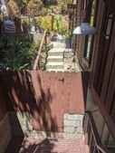 Enlarge photo 51