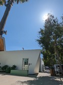 Enlarge photo 33