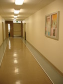 Enlarge photo 31