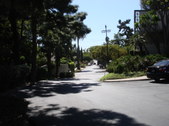 Enlarge photo 44