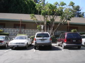 Enlarge photo 46