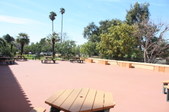 Enlarge photo 51