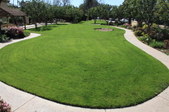 Enlarge photo 76