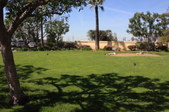Enlarge photo 80
