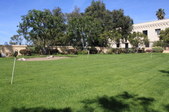 Enlarge photo 82