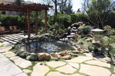 Enlarge photo 84
