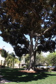 Enlarge photo 90