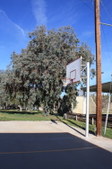 Enlarge photo 30