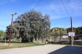Enlarge photo 33