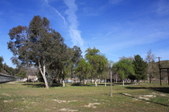 Enlarge photo 35