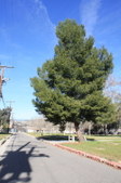 Enlarge photo 40