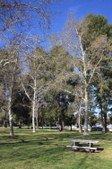 Enlarge photo 78