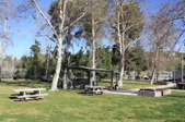 Enlarge photo 79