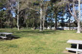Enlarge photo 85