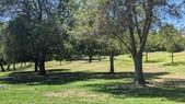 Elysian Park