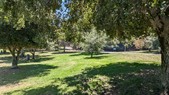 Griffith Park