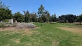 Park and Outdoor Space