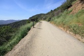 Mandeville Canyon Park