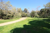 Enlarge photo 34