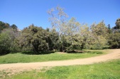 Enlarge photo 35