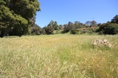 Enlarge photo 37