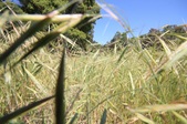 Enlarge photo 38