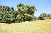 Enlarge photo 39