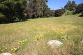 Enlarge photo 40