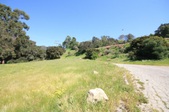 Enlarge photo 41