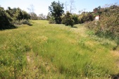 Enlarge photo 43