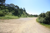 Enlarge photo 44