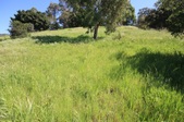 Enlarge photo 1