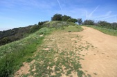 WestsideParks