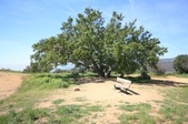 Enlarge photo 26
