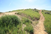 Enlarge photo 41