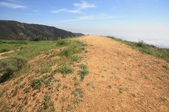 Enlarge photo 42